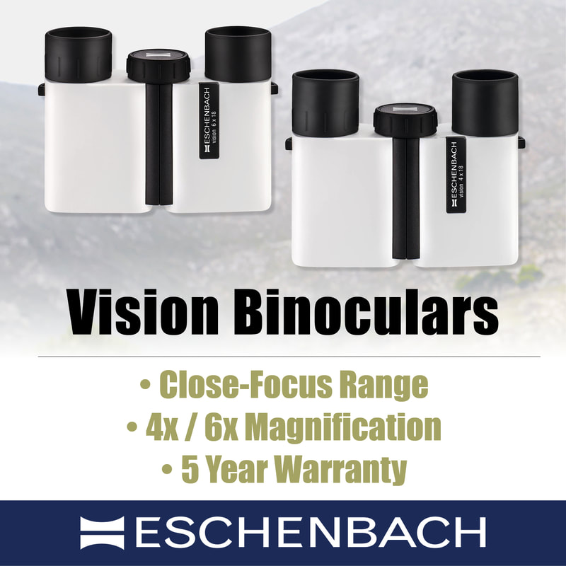 Eye and Vision Conditions – Wohl Optics